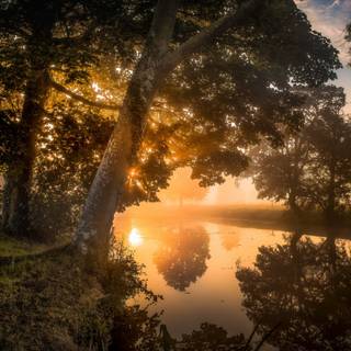 Morning time wallpaper