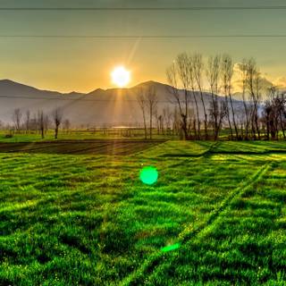 Morning time wallpaper