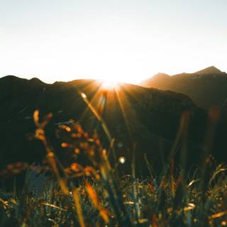 Morning time wallpaper