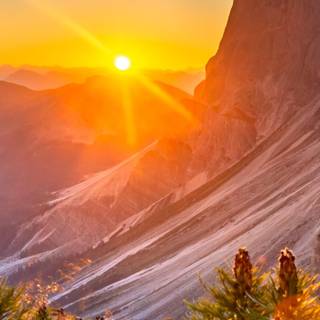 Morning time wallpaper