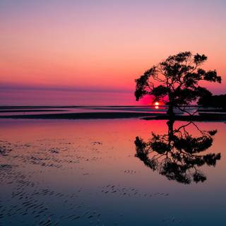 Morning time wallpaper