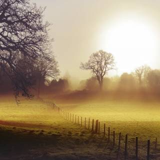 Morning time wallpaper