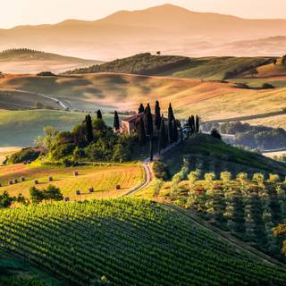 Morning time wallpaper