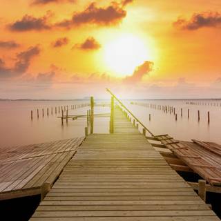 Morning time wallpaper