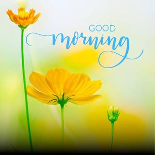 Morning time wallpaper