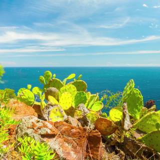 4k mediterranean wallpaper