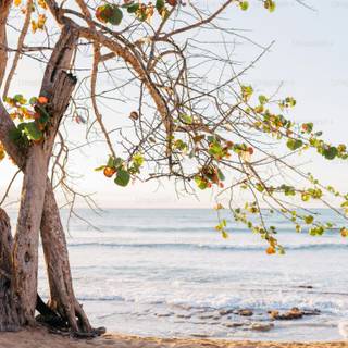 Bright 4k Android wallpaper