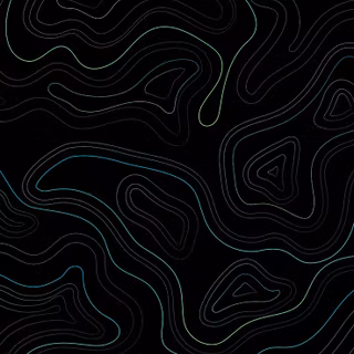 Black and white topographic wallpaper