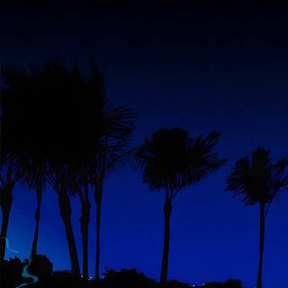 4k phone girl wallpaper