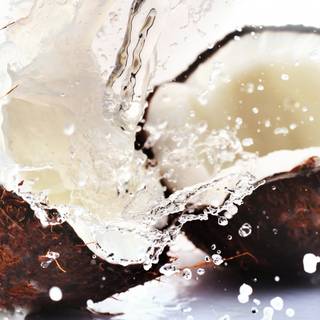 Coconut 4k wallpaper