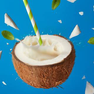 Coconut 4k wallpaper