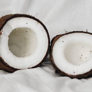 Coconut 4k wallpaper