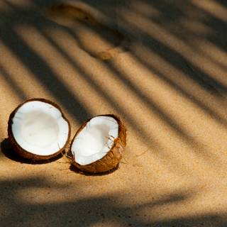 Coconut 4k wallpaper