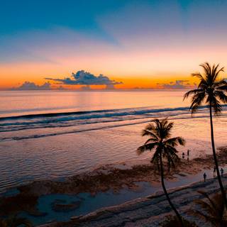 Coconut 4k wallpaper