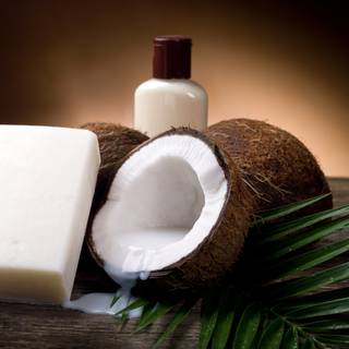 Coconut 4k wallpaper