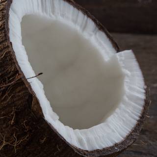 Coconut 4k wallpaper