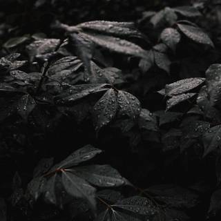 Dark simple 4k wallpaper
