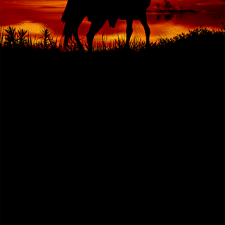 Arthur Morgan mobile wallpaper