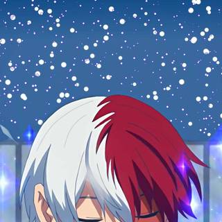 Shoto mobile wallpaper