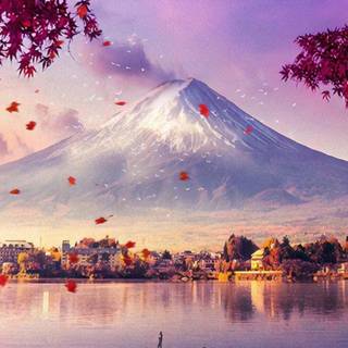 Japanese 4k iPhone wallpaper