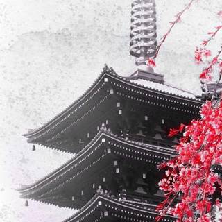 Japanese 4k iPhone wallpaper