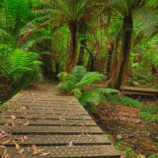 4k streamer wallpaper