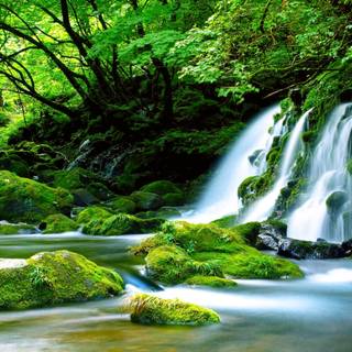 4k streamer wallpaper