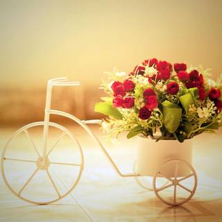 Romance desktop wallpaper