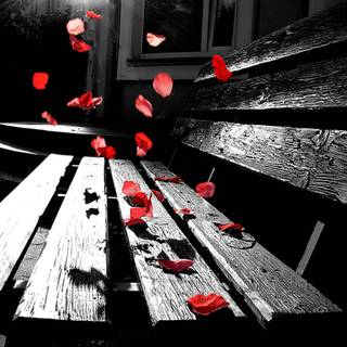 Romance desktop wallpaper