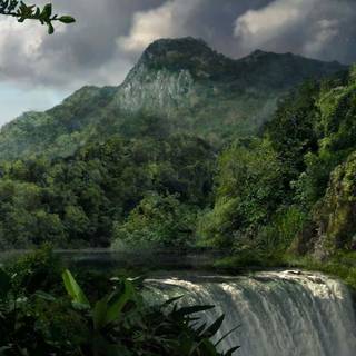 Rainforest desktop wallpaper