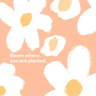 Teacher desktop wallpaper