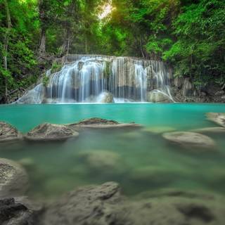 Rainforest desktop wallpaper