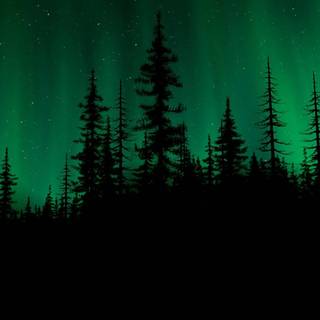 Dark green aesthetic desktop wallpaper