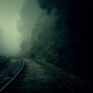 Dark green aesthetic desktop wallpaper