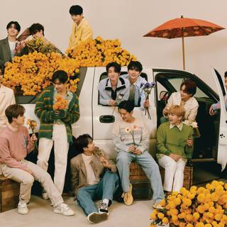 Seventeen desktop HD wallpaper