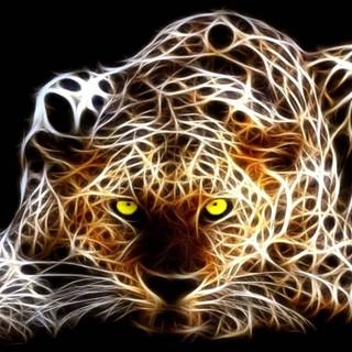 Jaguar desktop wallpaper