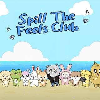 Seventeen desktop HD wallpaper