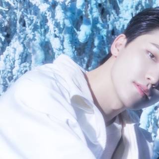 Seventeen desktop HD wallpaper