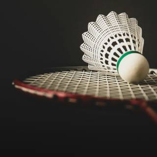 Badminton mobile wallpaper