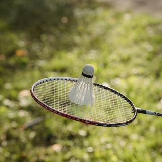 Badminton mobile wallpaper