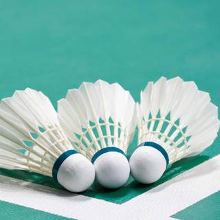 Badminton mobile wallpaper