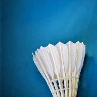 Badminton mobile wallpaper