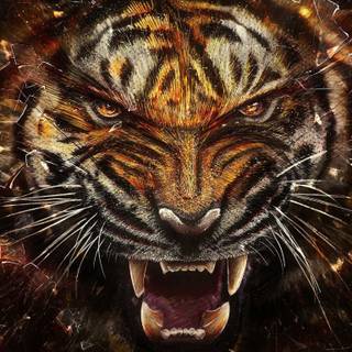 Angry mobile wallpaper