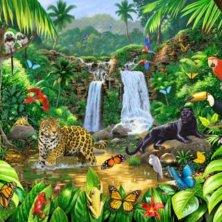 Rainforest wallpaper