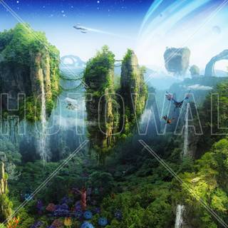 Rainforest wallpaper