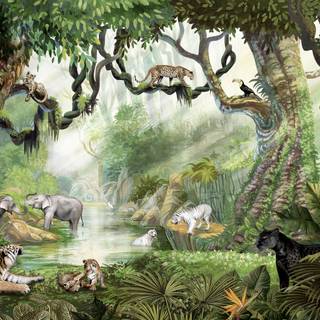 Rainforest wallpaper