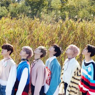 SKZ logo PC wallpaper