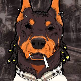 Cool Doberman wallpaper