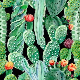 Prickly pear wallpaper