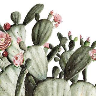 Prickly pear wallpaper
